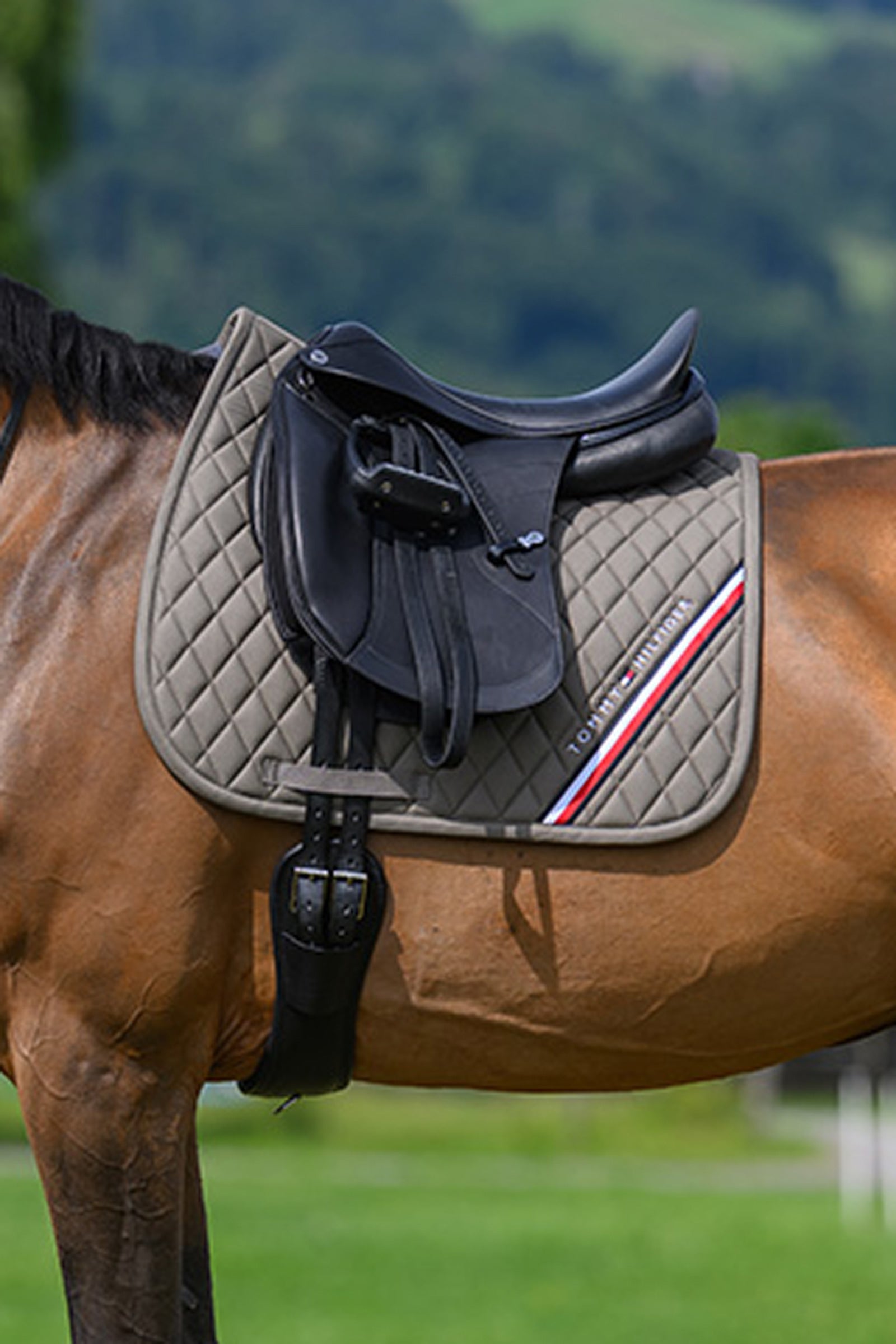 Tommy Hilfiger Equestrian Stanford dressuur zadeldek Zadeldekjes