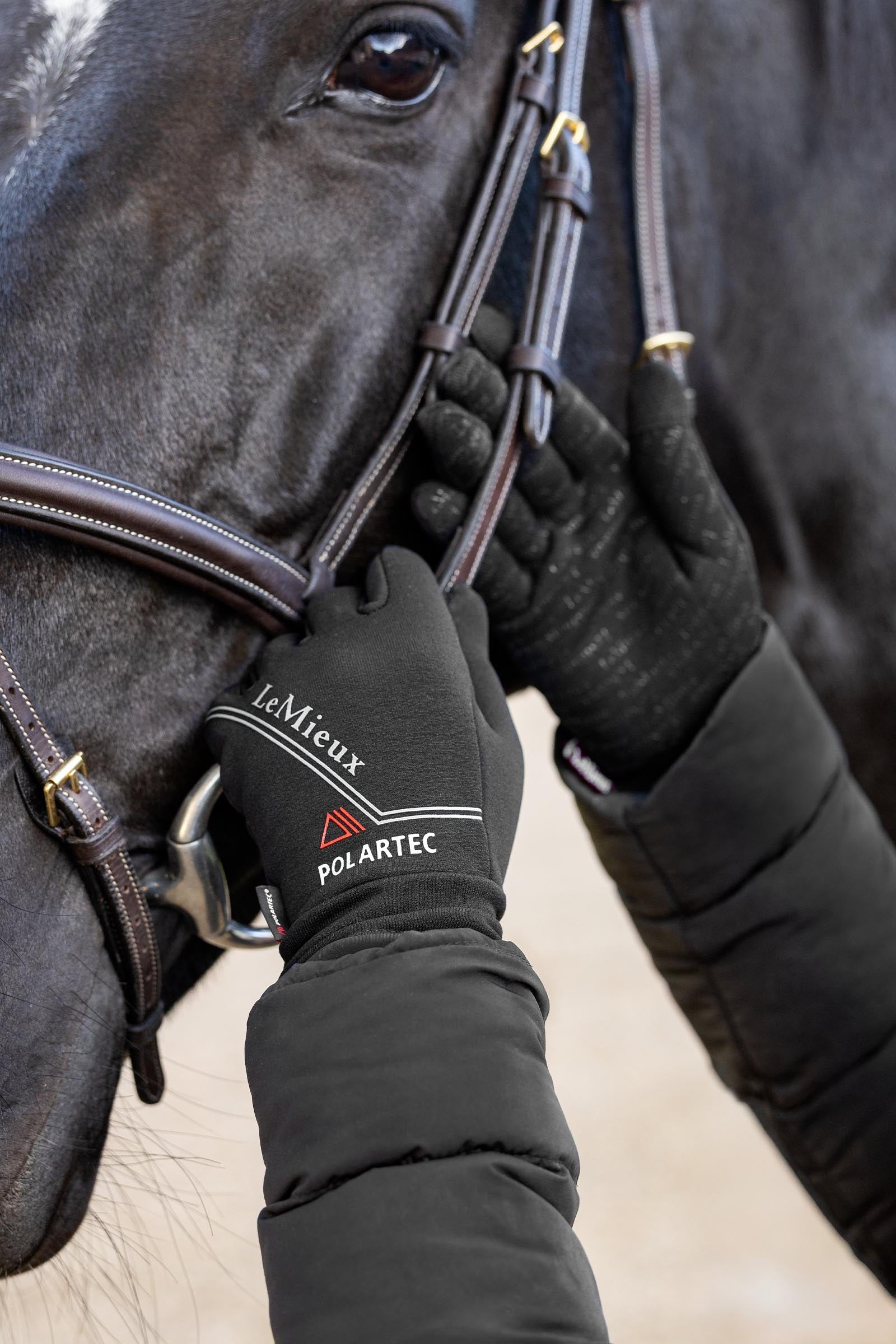 LeMieux Polartec Gloves Riding Gloves