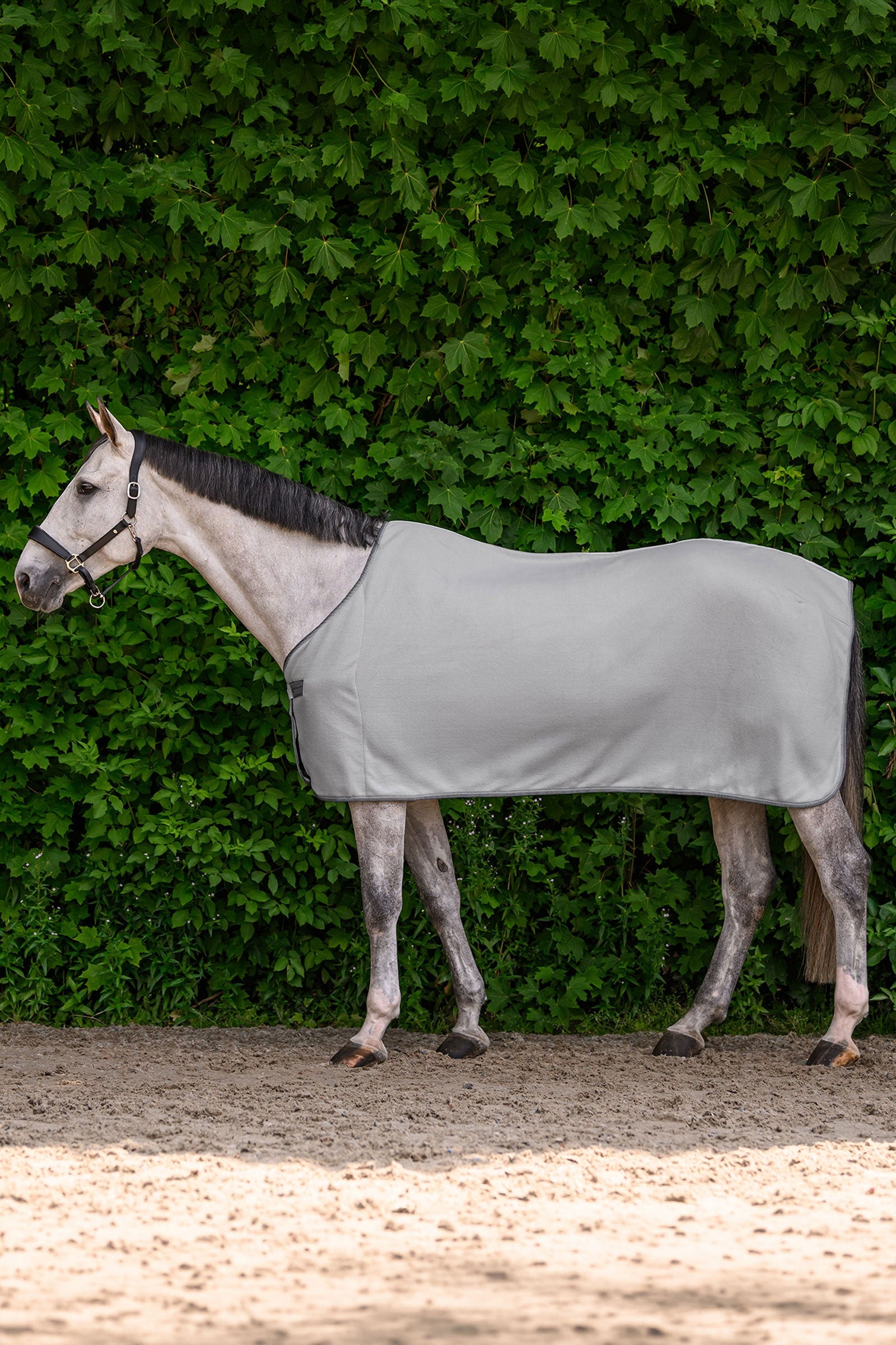 Waldhausen ECONOMIC Fleece Rug Horse Rugs