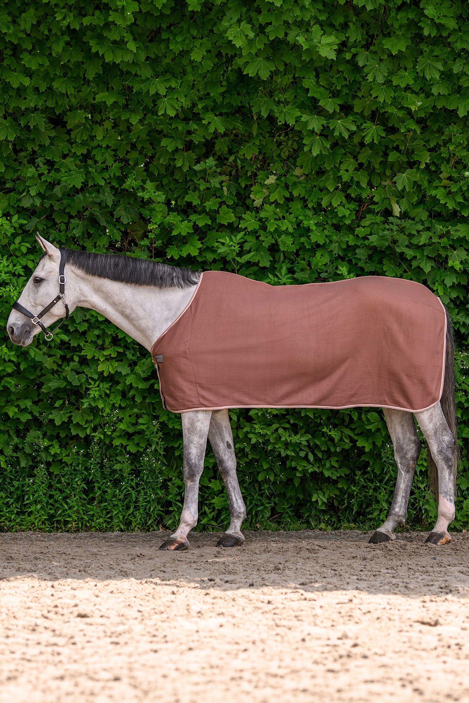 Waldhausen ECONOMIC Fleece Rug Horse Rugs