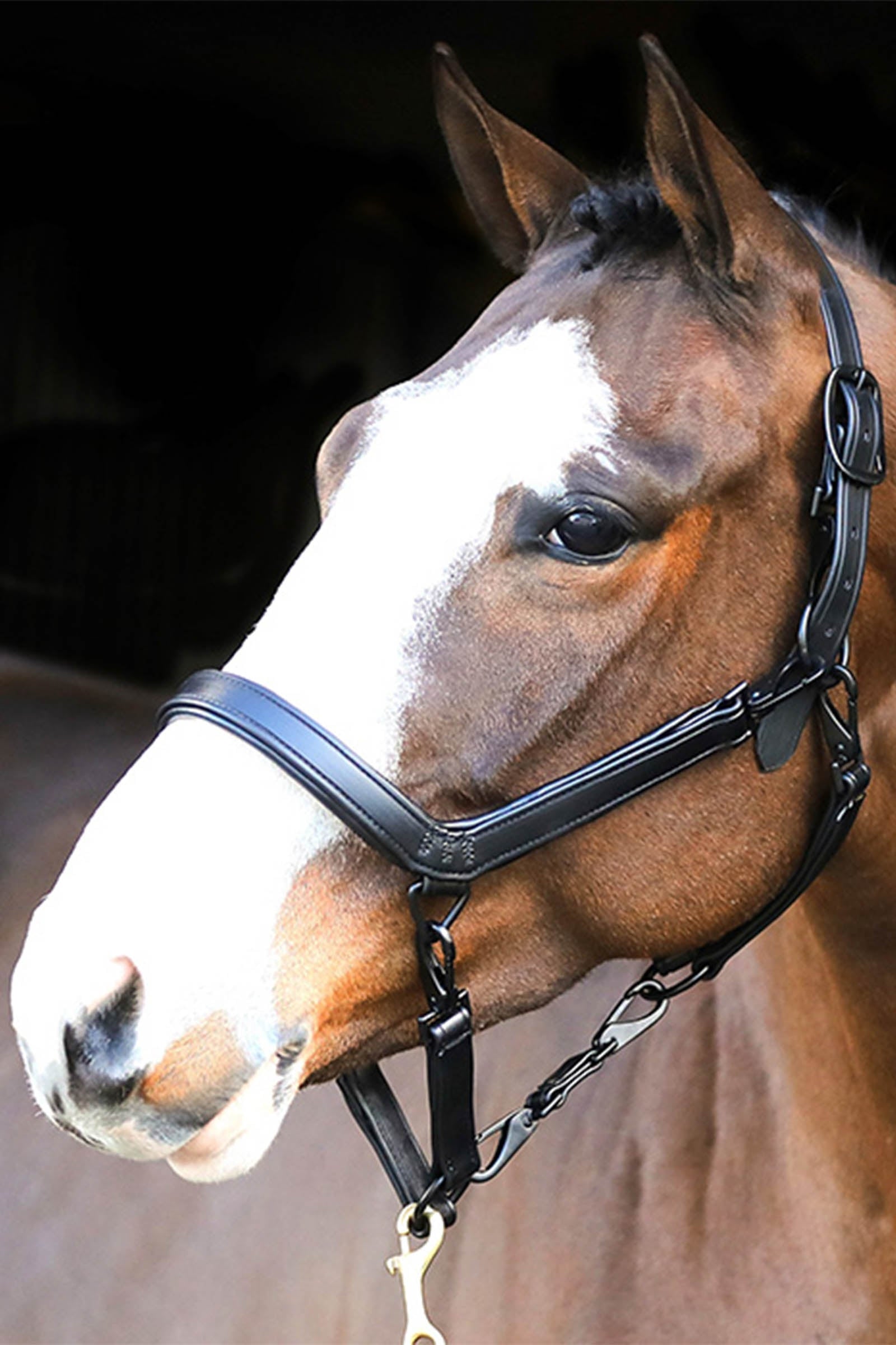 Liveryman Leather Clipping Headcollar Scheren & Trimmen