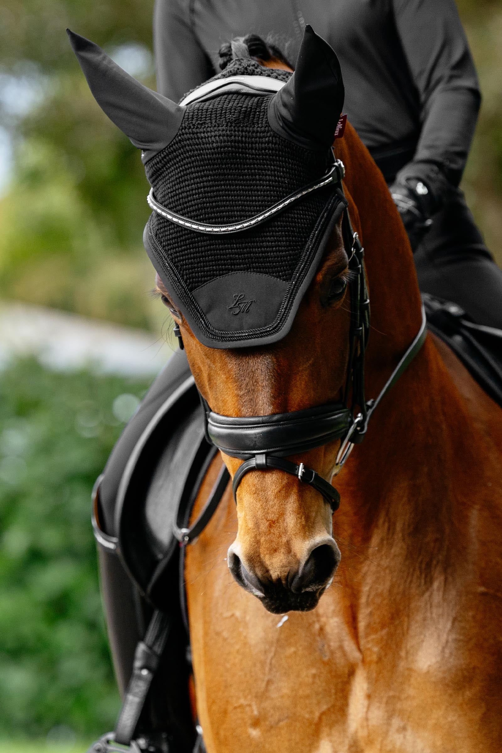 LeMieux Brilliance Fly Hood Saddle Pads