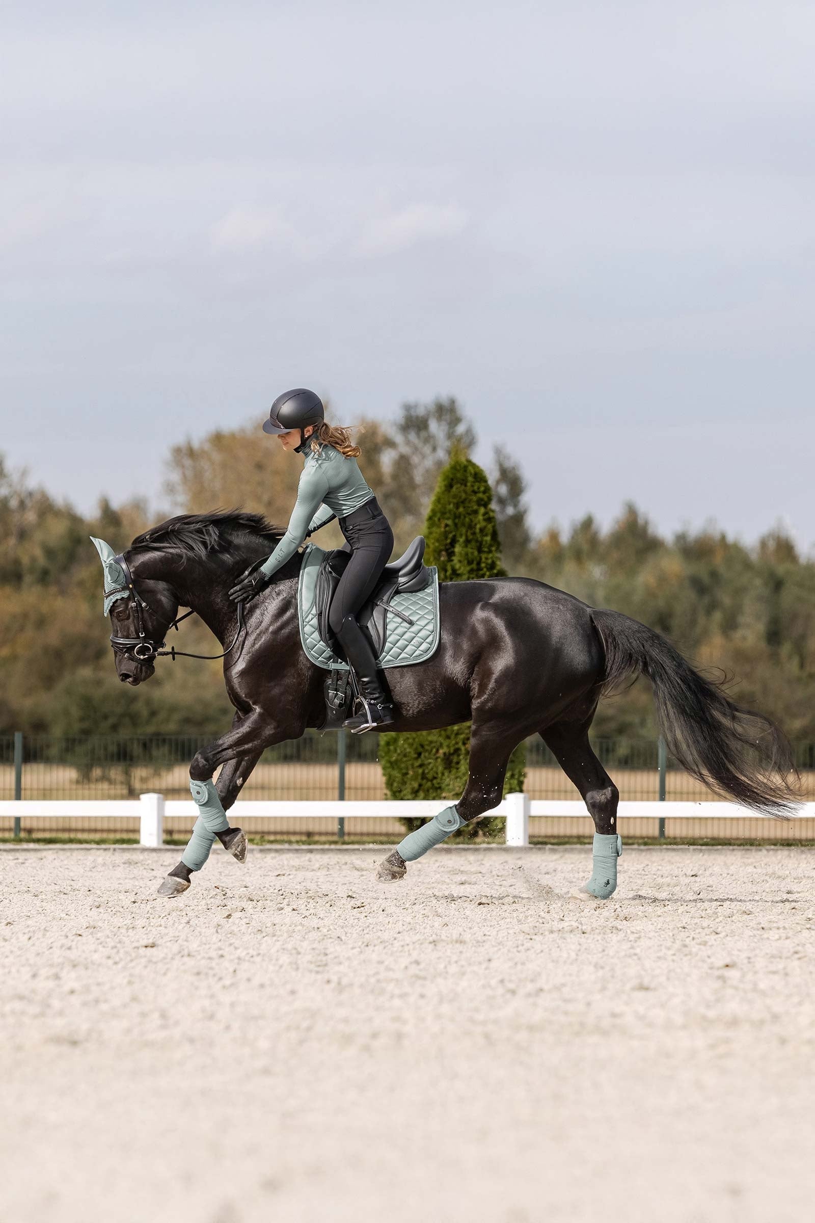 Waldhausen Nepal Dresssage Saddle Pad Saddle Pads
