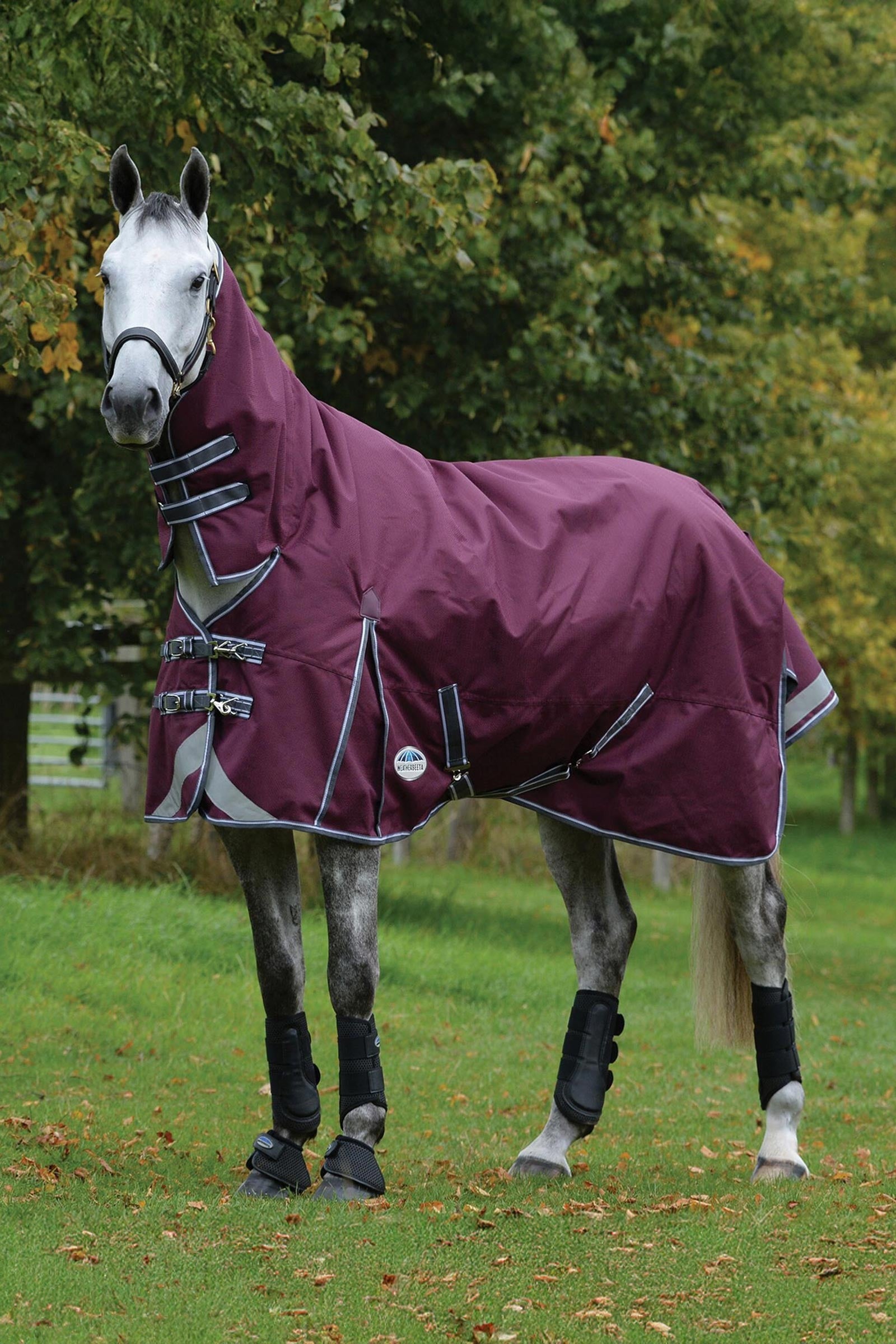 Weatherbeeta Comfitec Plus Dynamic II Turnout Rug With Fixed Neck, 100g Horse Rugs