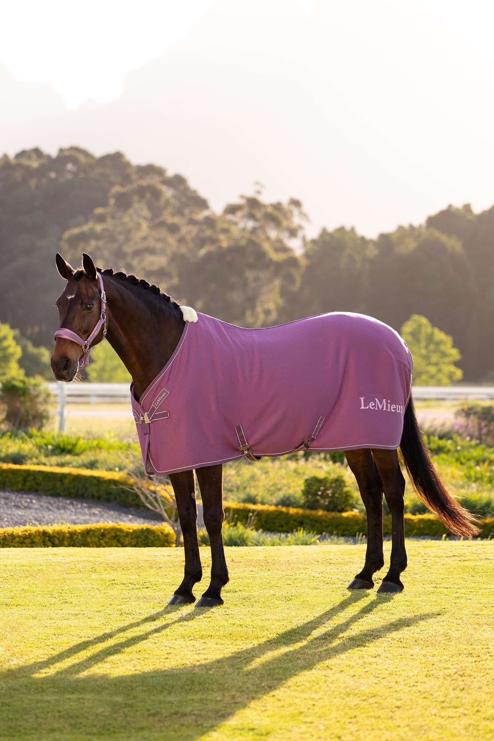 LeMieux Kudos Bamboe Zweetdeken Paardendekens