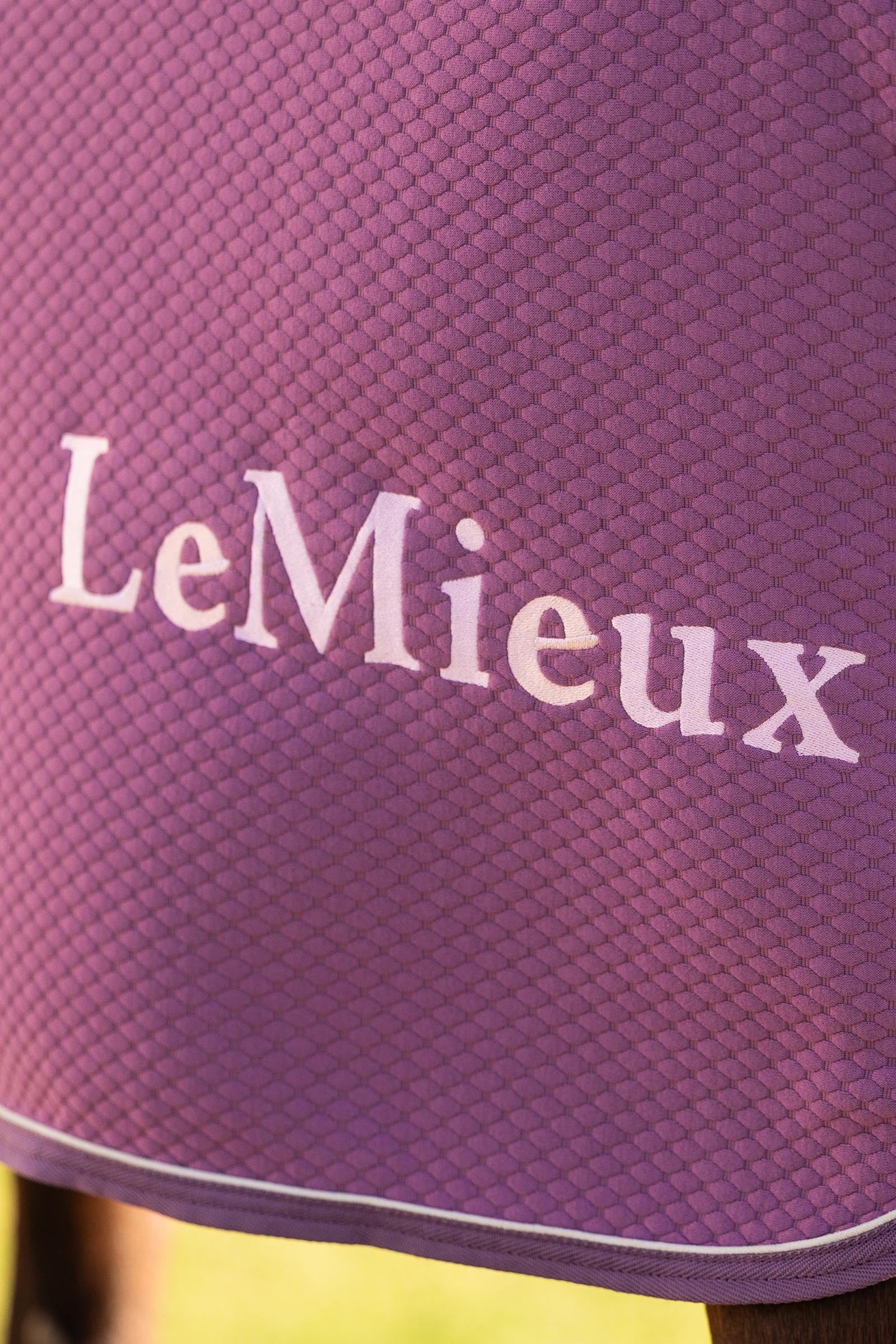 LeMieux Kudos Bamboo Cooler Horse Rugs