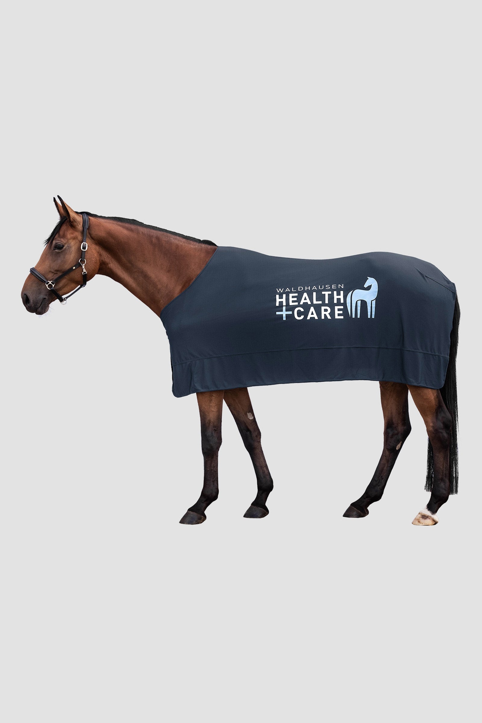 Waldhausen W-Health & Care Ice Layer Koeldeken Paardendekens