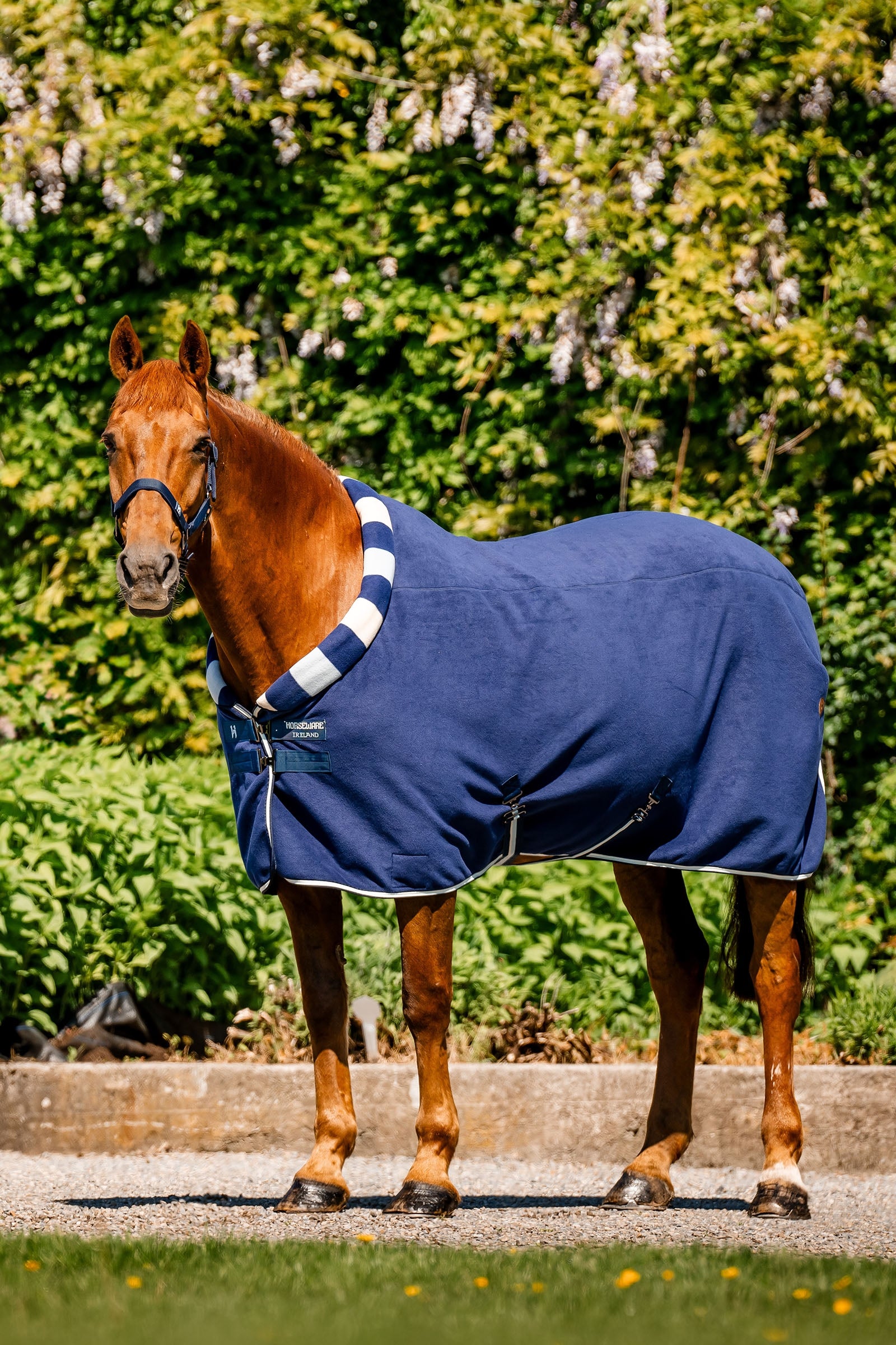 Horseware Newmarket Cosy Fleece Cooler deken Paardendekens
