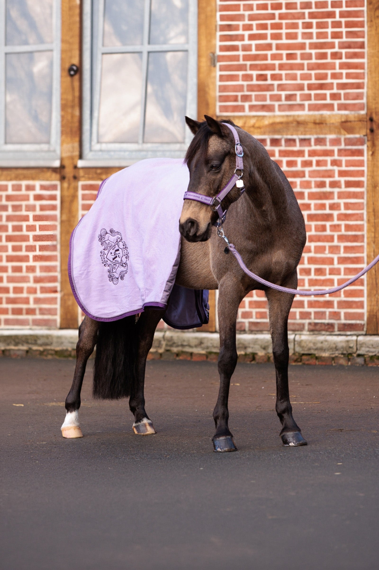 Kavalkade Unicorn Academy fleece deken met sierkoord Paardendekens