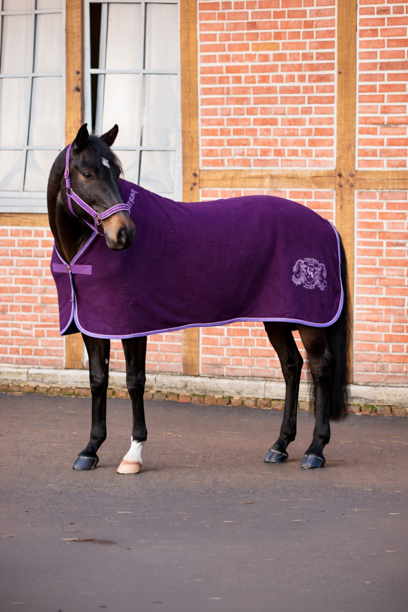 Kavalkade Unicorn Academy fleece deken met sierkoord Paardendekens