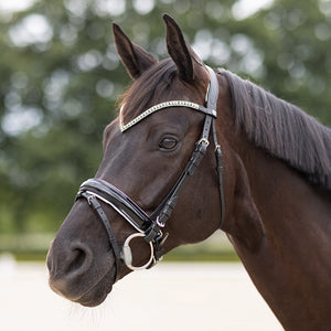 Kensbro 2 stuks hooinet voor paarden, hooizak voor paarden, grote capaciteit hooi zak met 8,5 cm gaten, waterdicht hooizak voor runderen, schapen en paarden Kensbro 2 stuks hooinet voor paarden, hooizak voor paarden, grote capaciteit hooi zak met 8,5 cm gaten, waterdicht hooizak voor runderen, schapen en paarden